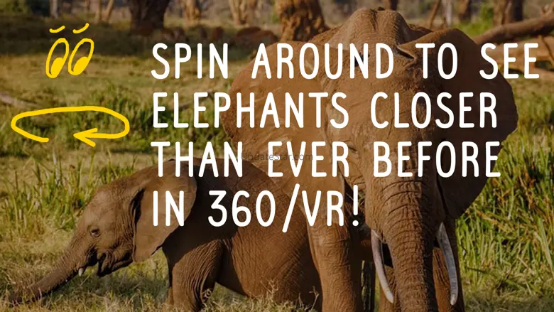 Virry game: Learn wild animals 3.3.4