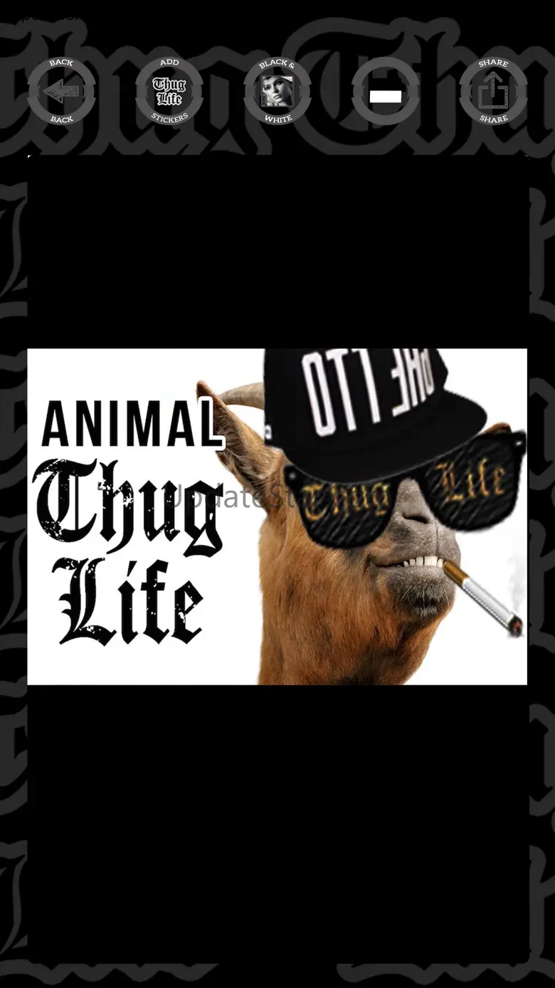 Thug Life photo stickers 2.2
