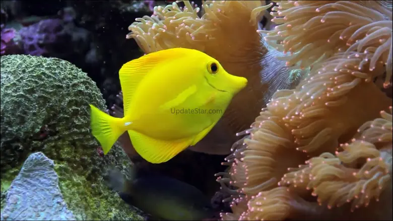 Video Touch - Sea Life 3.22