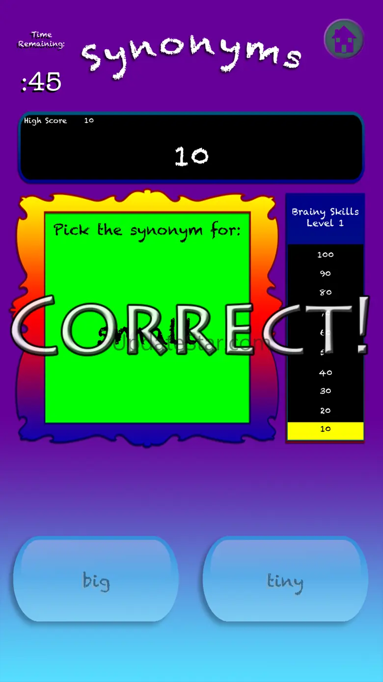 Brainy Skills Synonym Antonym 1.4