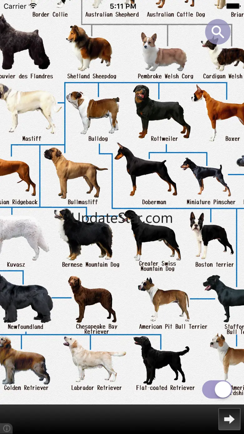 Dog's Family 2.4.2