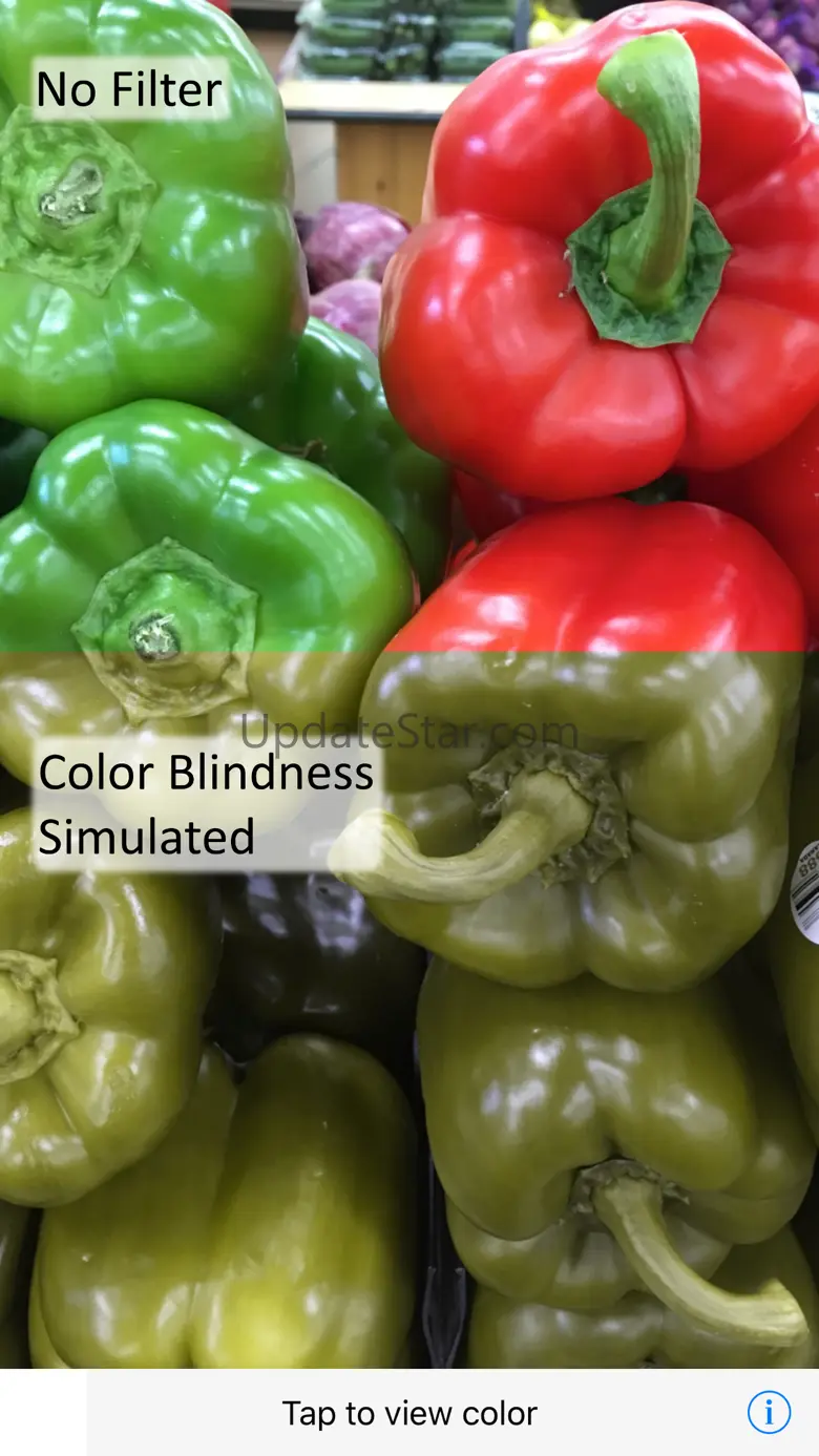 Color Blindness AR Solution 2.0