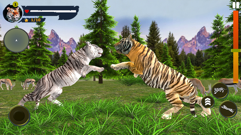 Wild Tiger Simulator 5.0