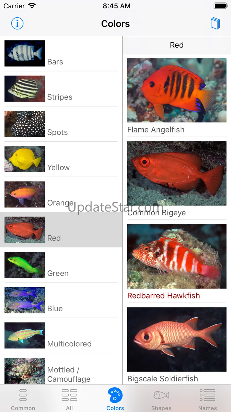 Scuba Fish Hawaii v2.0