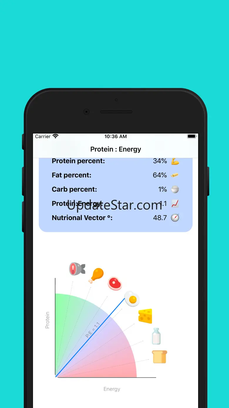 P:E Ratio 1.2.1