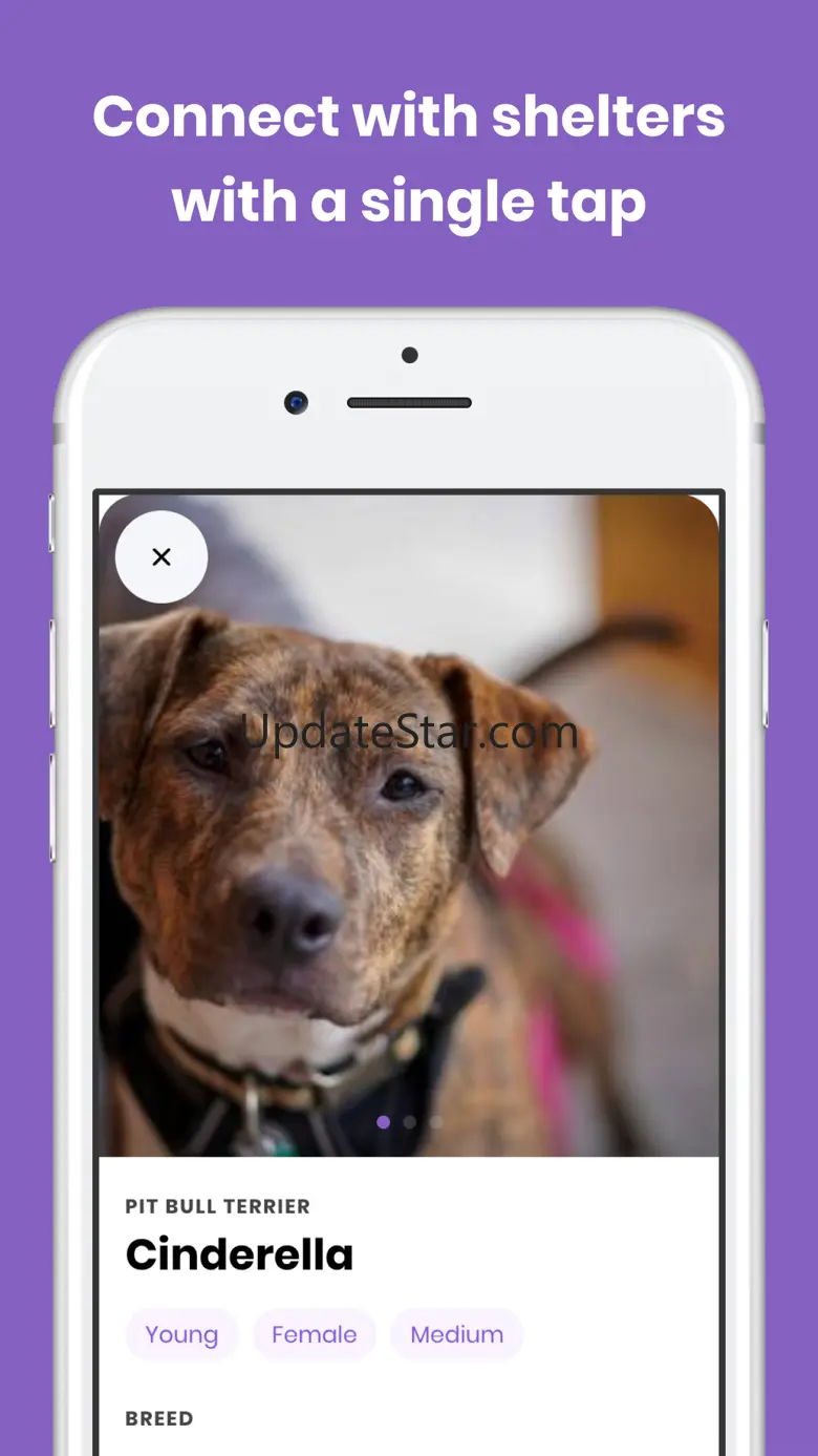 Petly App 1.0.8