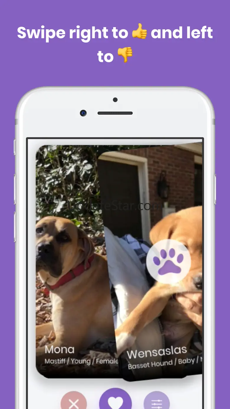 Petly App 1.0.8