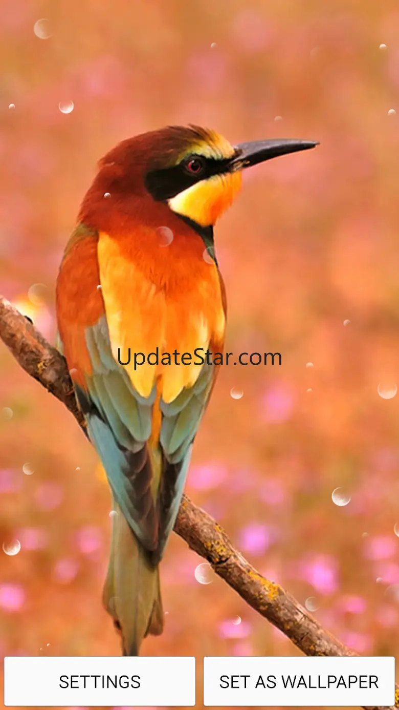 Home Screen Live Wallpaper 5.1