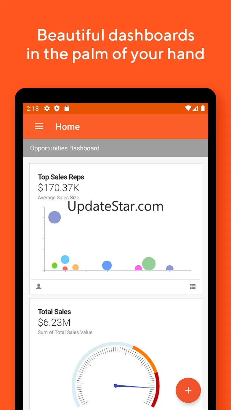 Insightly CRM 4.11