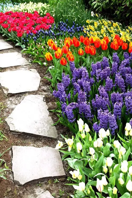 Garden Design Ideas 16.0
