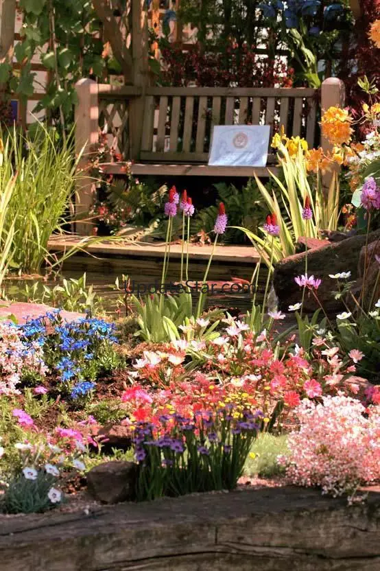 Garden Design Ideas 16.0