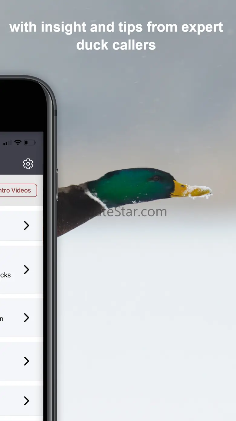 Duck Tech 2.0