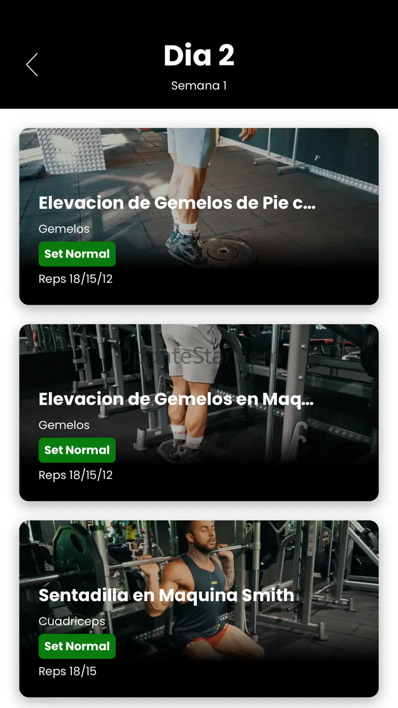 Llados 1.2