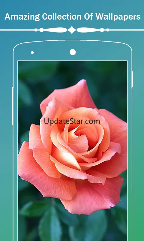 Roses Flower Wallpapers HD 1.0.6