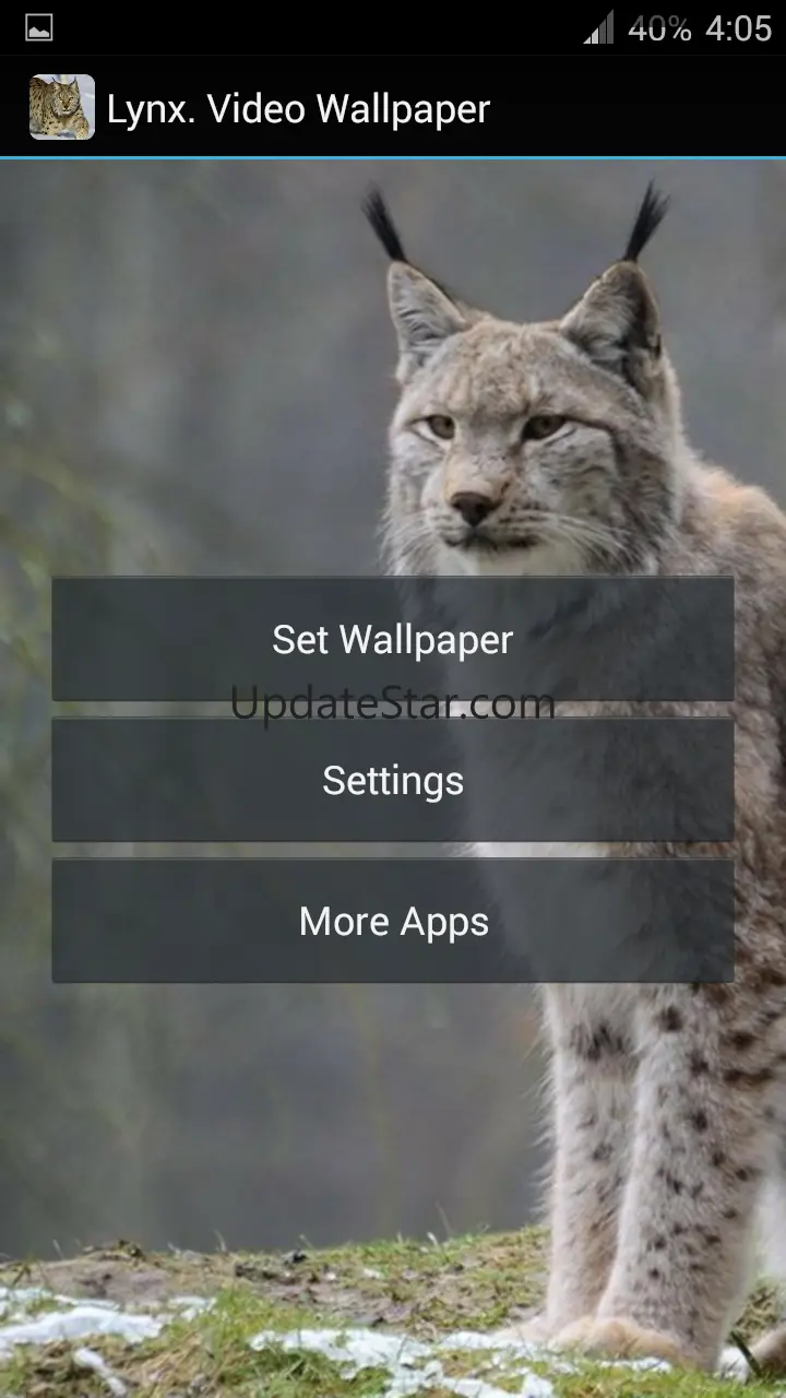 Lynx. Video Wallpaper 1.02