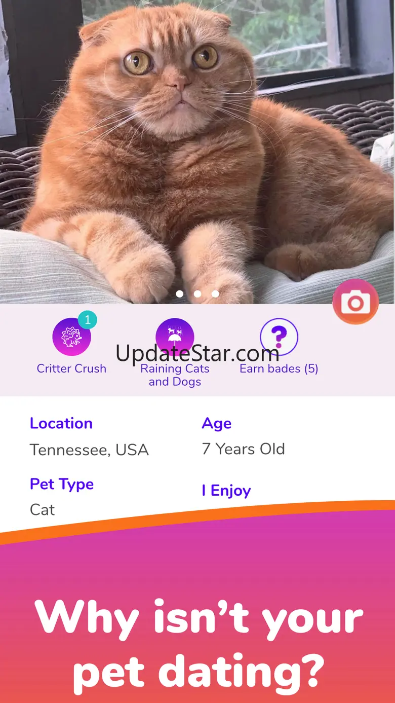 Crush Connection 1.4.0