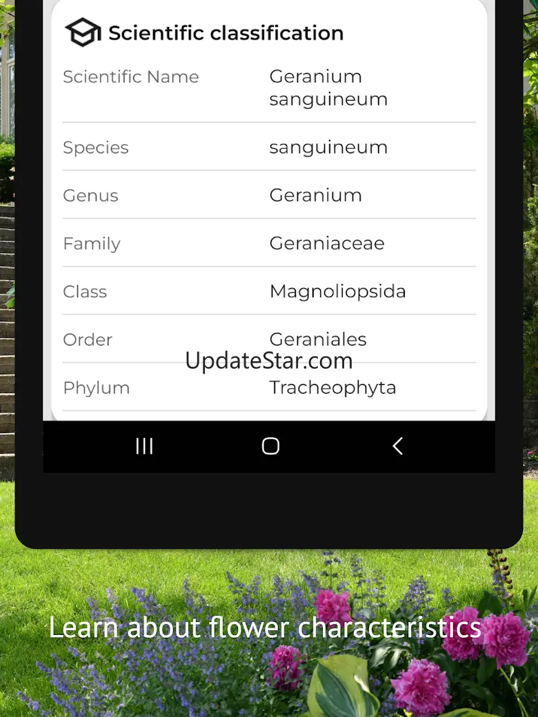 Flower identifier 5.9.10