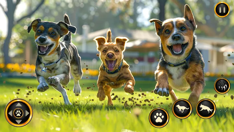 Dog Life Simulator Pet Games 4.9
