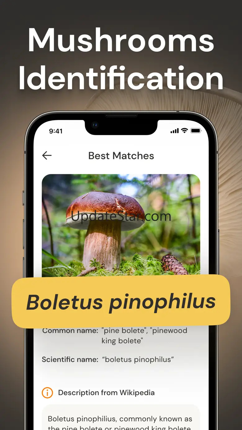Mushroom Identification ID 1.0