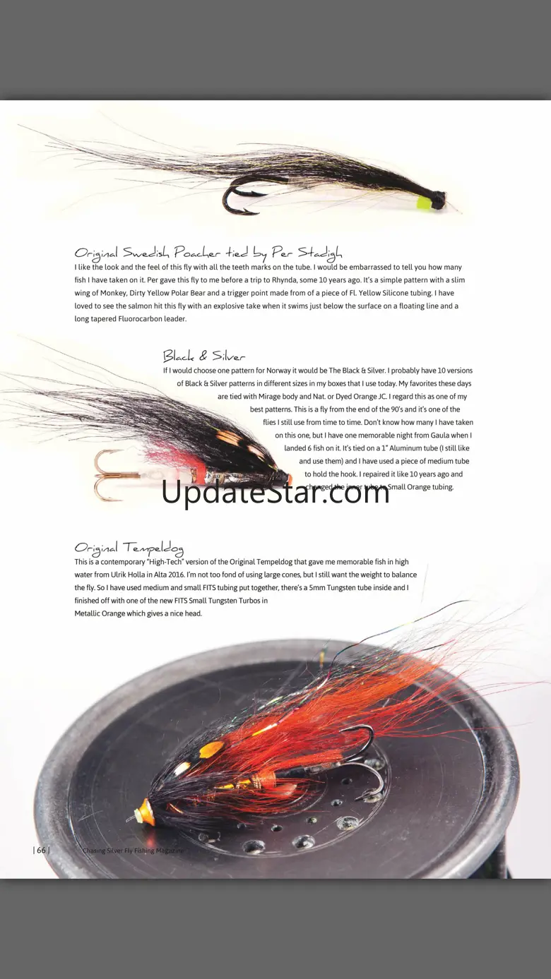 Chasing Silver Magazine 5.3.0