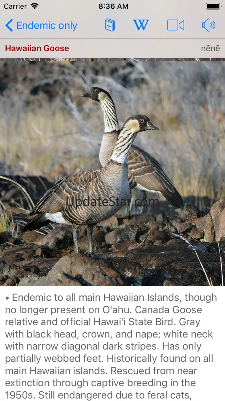 Bird ID Hawaii v1.2