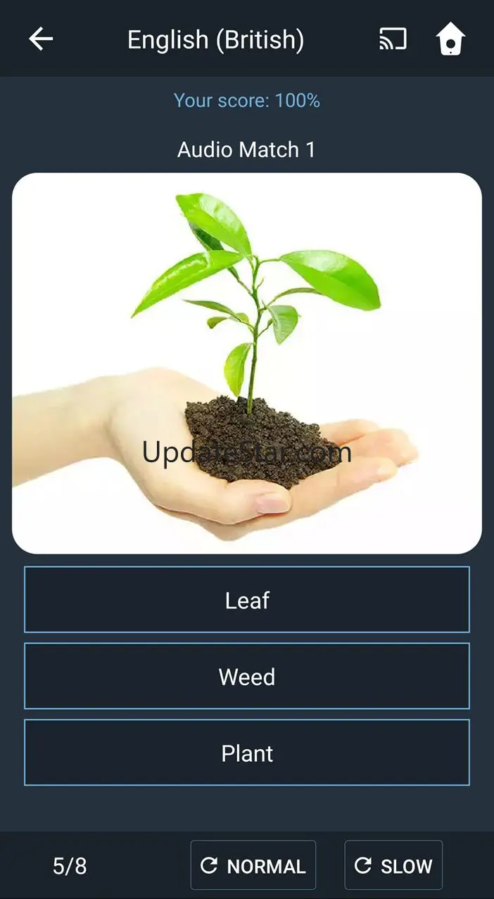 Learn British English. Speak B 2.3.8