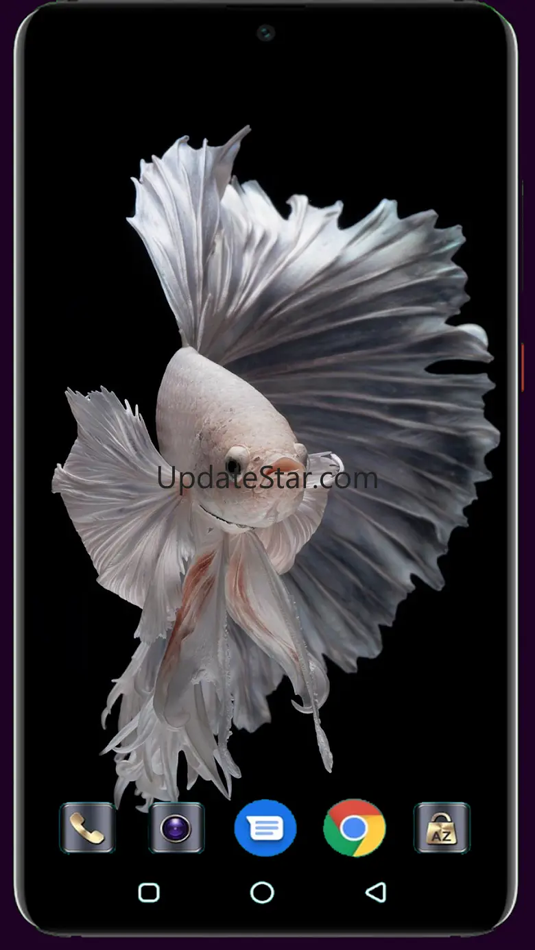 HD Fish Wallpaper 1.021