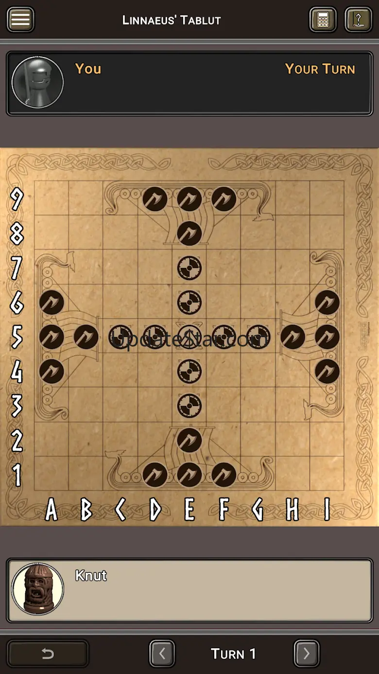 Hnefatafl