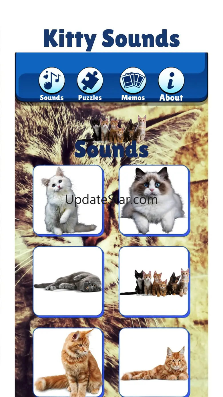 Kitty Cat: Fun Meow Noise Game 3.0.0