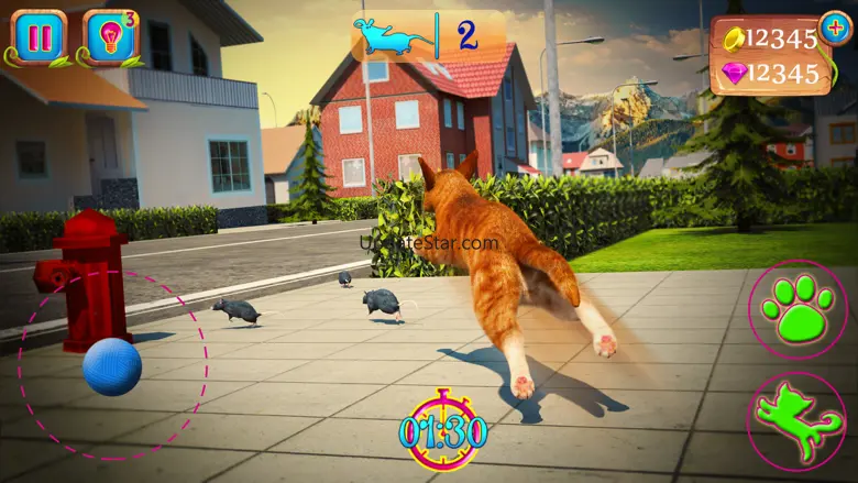 Cute Cat Adventure 2016 1.0
