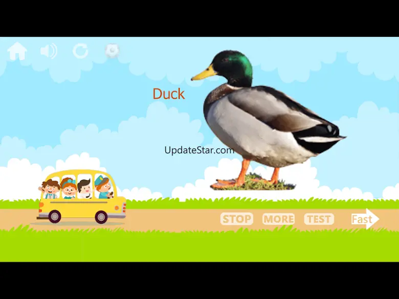100 Animals and Birds for kids 9