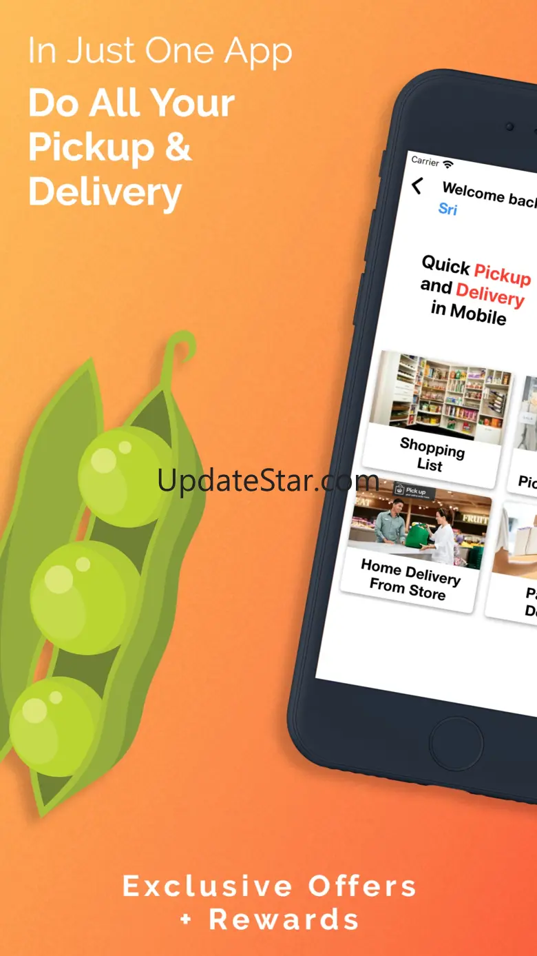 Pinslots Delivery 6.5