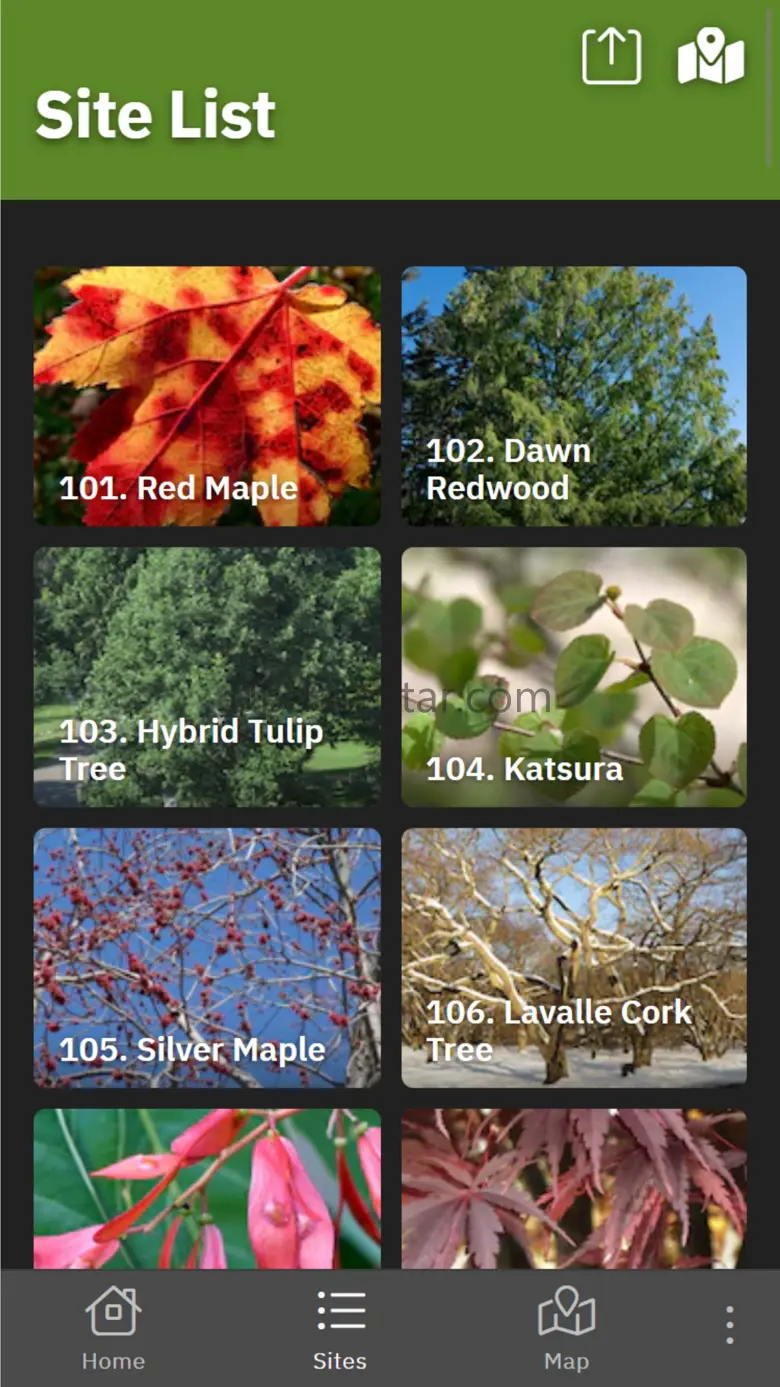 Expeditions: Arnold Arboretum 9.0.95