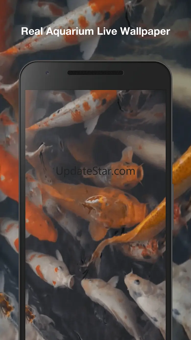 Real Aquarium Live Wallpaper 3.5