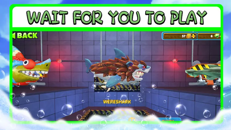 Hungry Shark 1.4