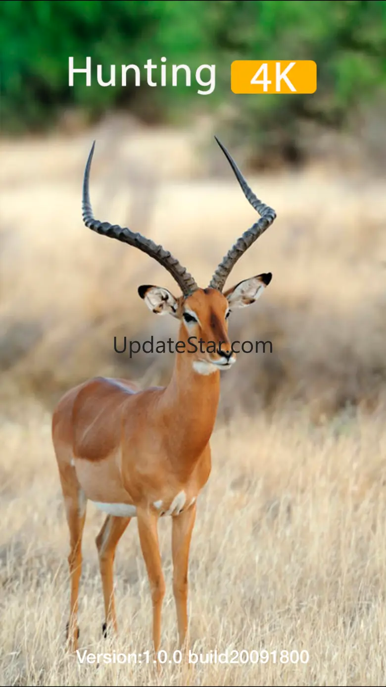Hunting 4K 1.0.5