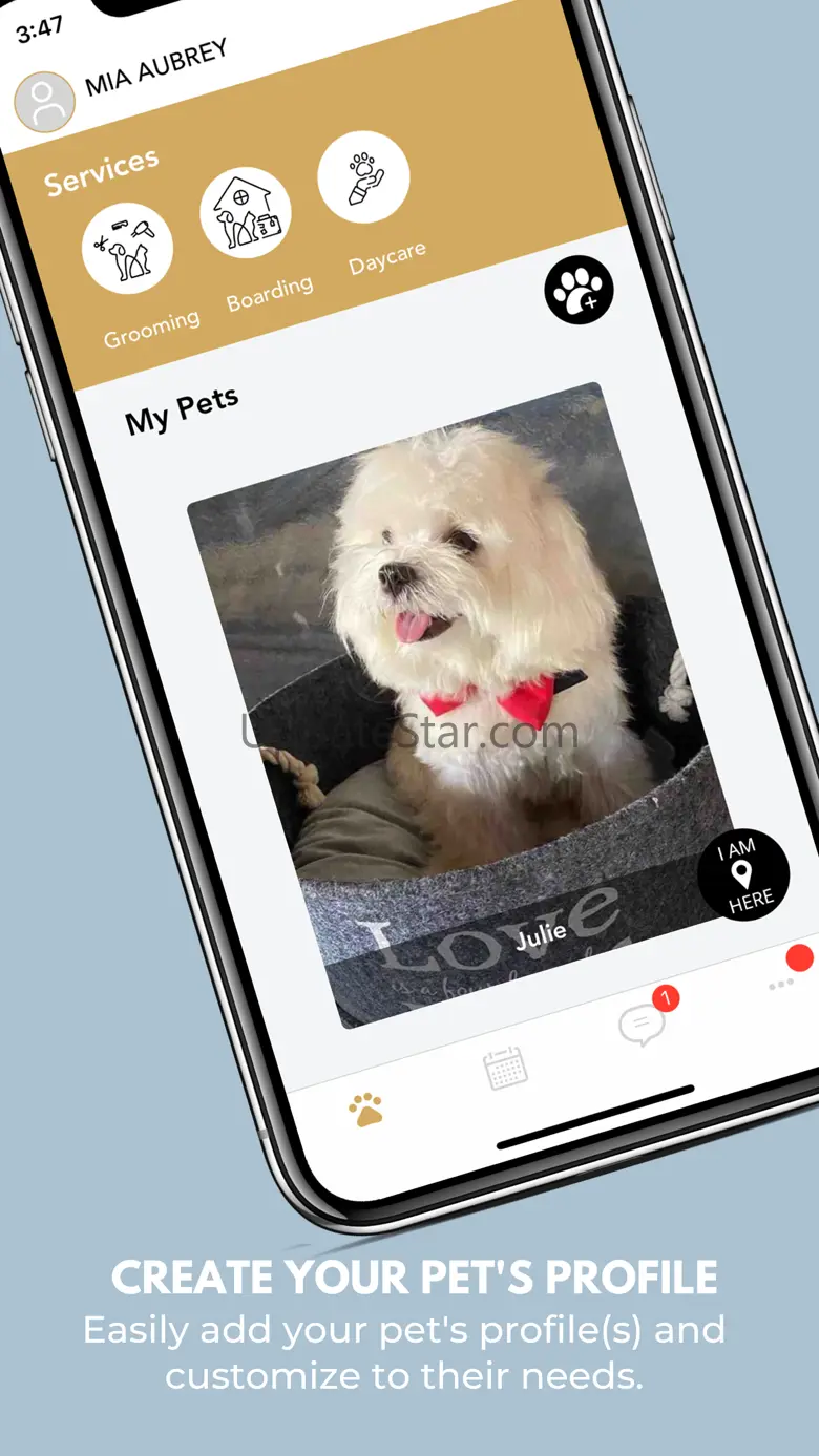 Dog Kingdom 1.42.6