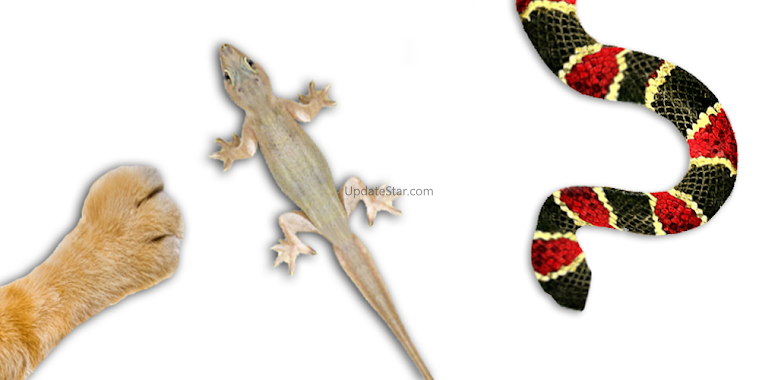 For cat - catch the Lizard 4.4