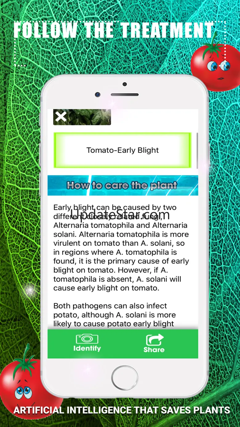 Identify Tomato Plant Diseases 1.0