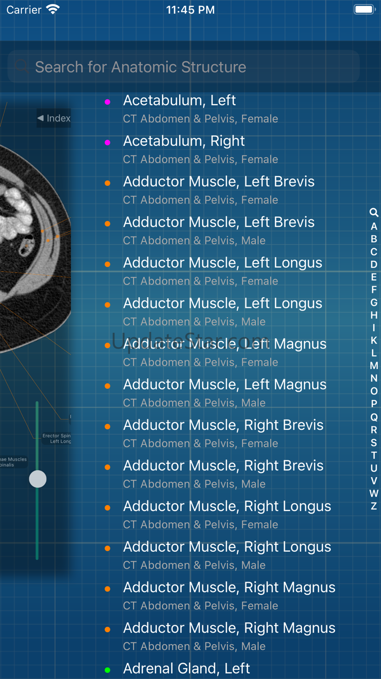 X-Anatomy Pro 3.3.0