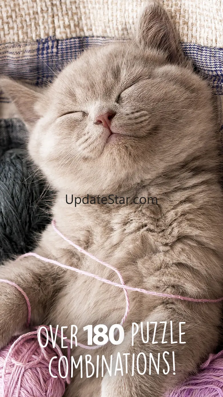 Jigsaw Wonder Kittens Puzzles for Kids 1.1