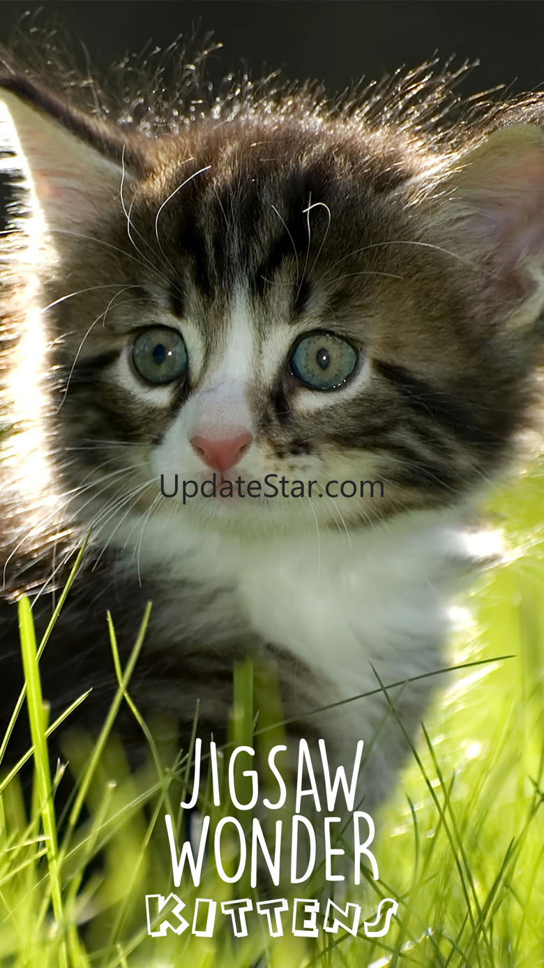 Jigsaw Wonder Kittens Puzzles for Kids 1.1