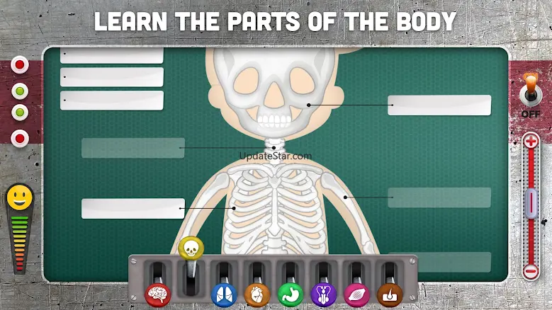 How does The Human Body Work? 3.5.2
