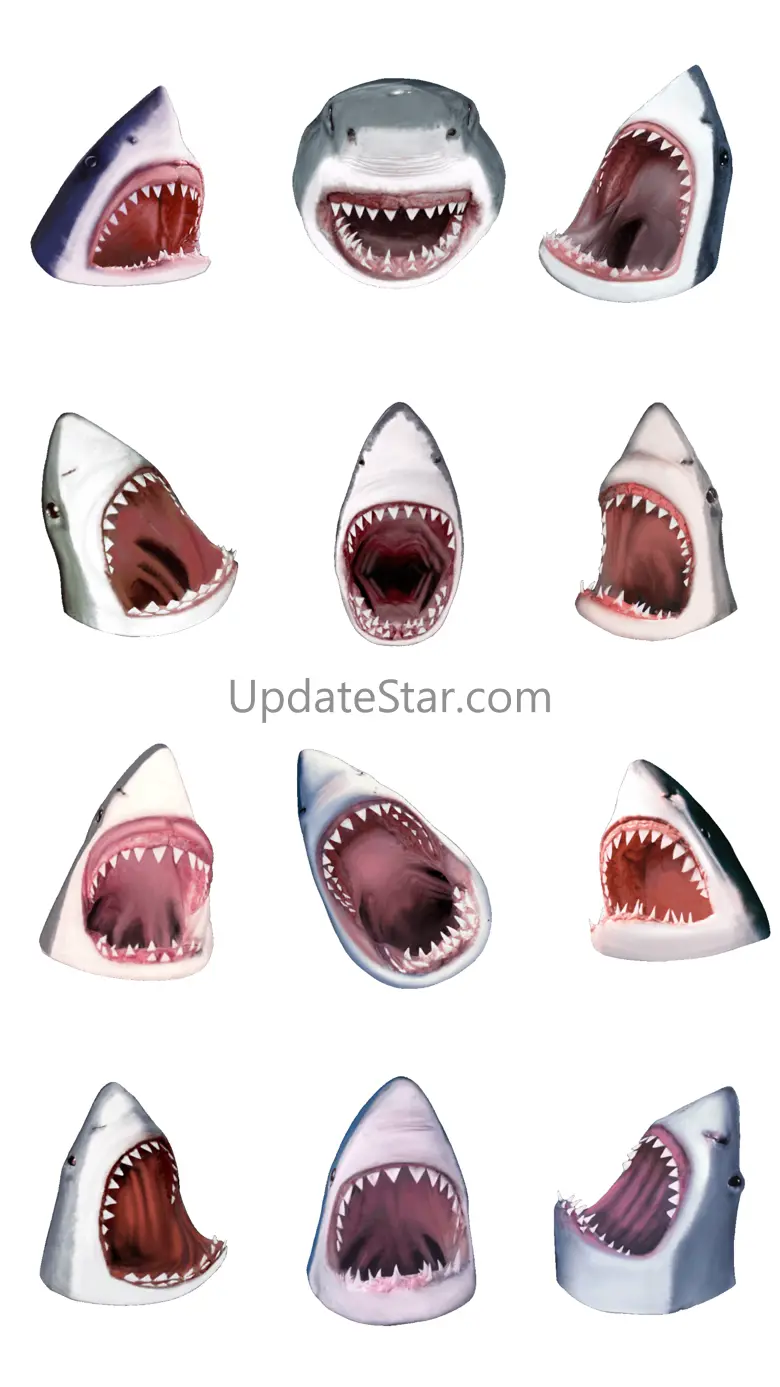 Shark Head 1.1