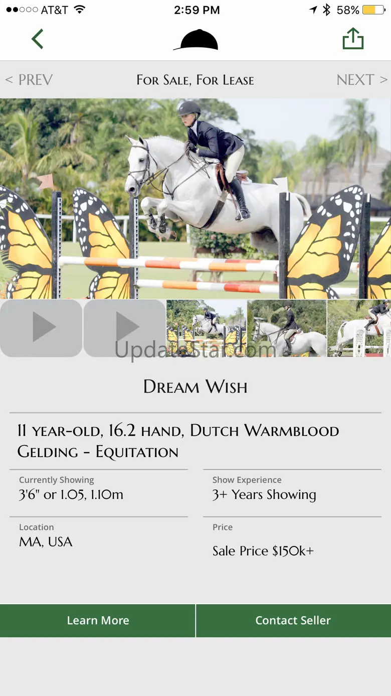 Bigeq Horse Sales 1.2