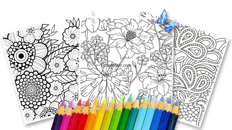 Coloring Secret - updated 1.2