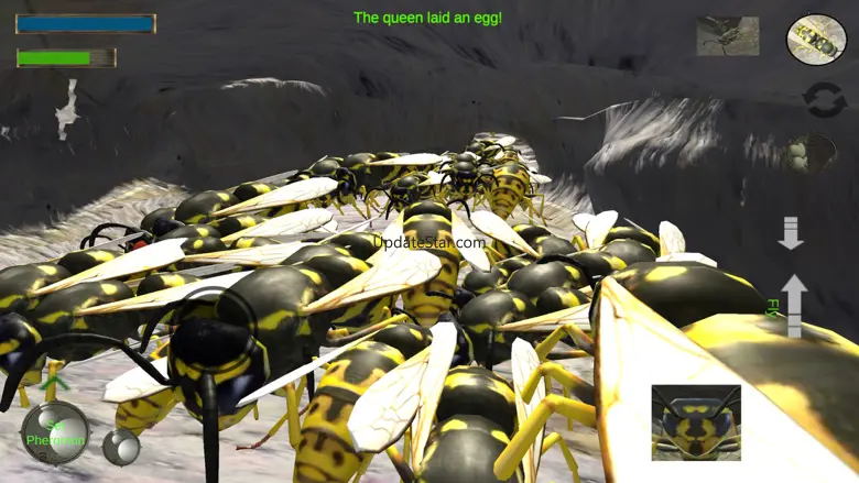 Wasp Nest Simulation Full 2.0