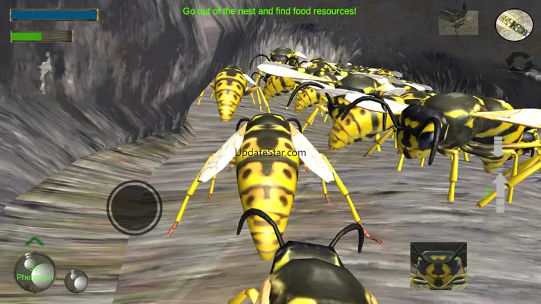Wasp Nest Simulation Full 2.0