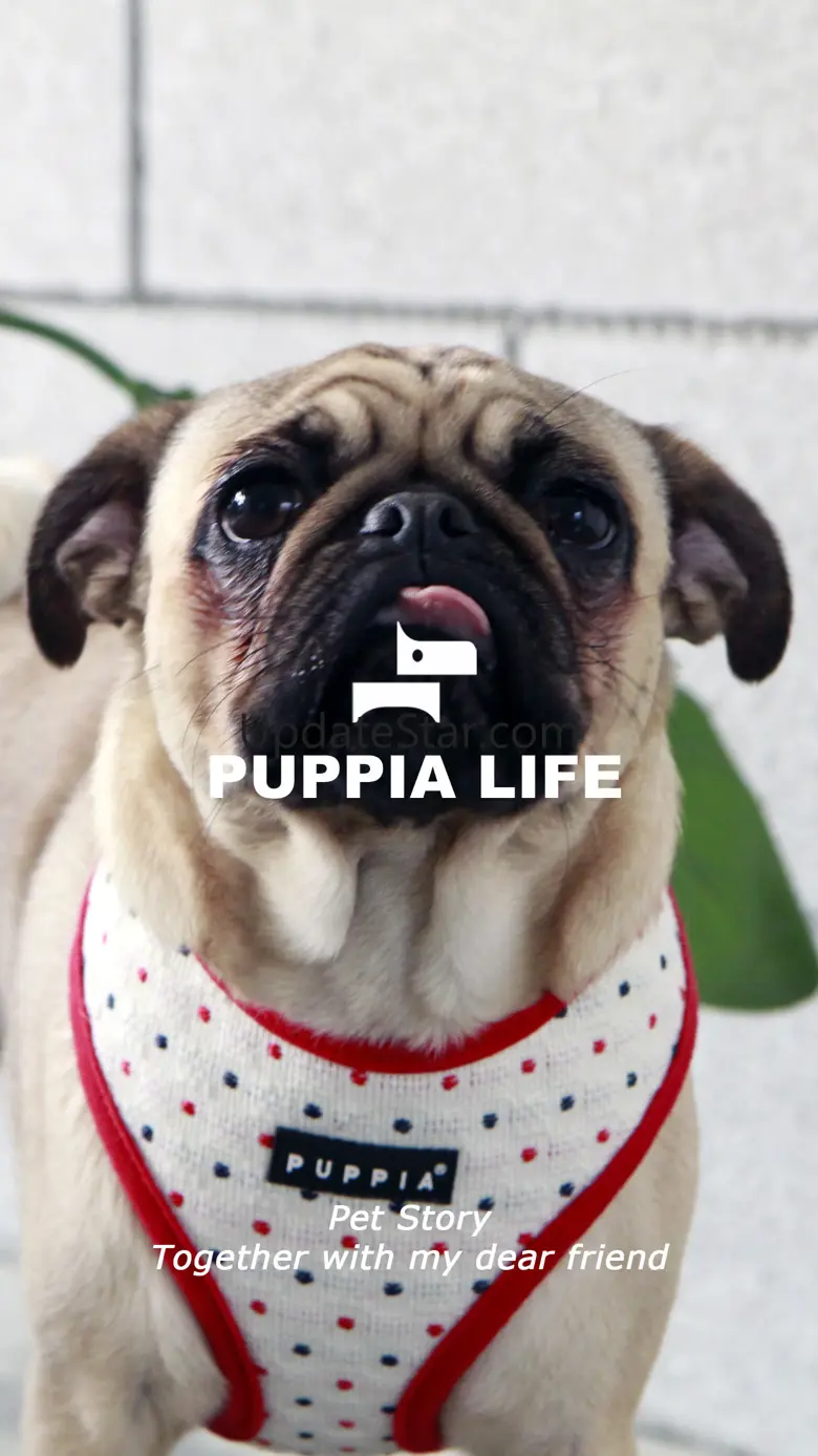 Puppia 1.0