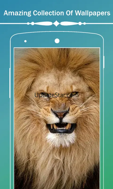 Lion HD Wallpapers 1.0.7